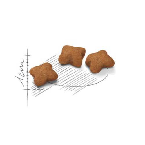 Royal Canin Kitten 2 x 10 kg