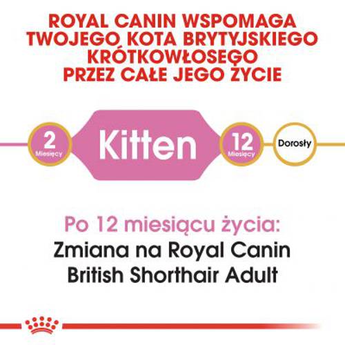 Royal Canin British Shorthair Kitten 10 kg