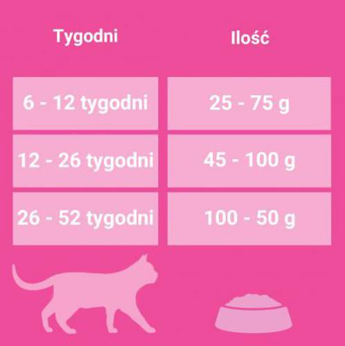 Purina ONE Junior 800 g