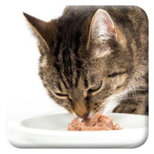 beaphar Dieta na nerki, 6 x 100 g Kurczak, 6 x 100 g