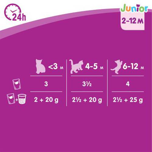 Whiskas Junior Potrawka w saszetkach, 12 x 85 g Wybór dań drobiowych w galarecie