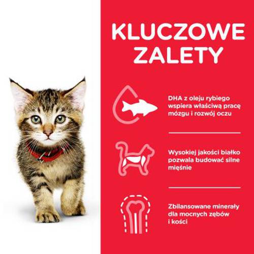 Hill's Science Plan Kitten, 12 x 85 g Drób