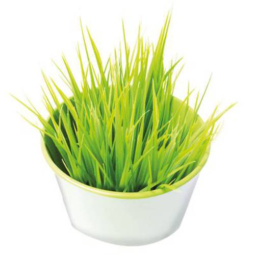 GimCat GrasBits 140 g