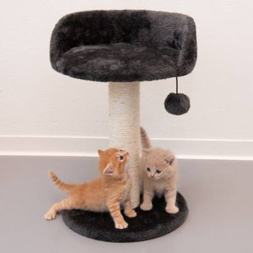 Enio drapak dla kota Wys. x  Ø: 47 x 31 cm