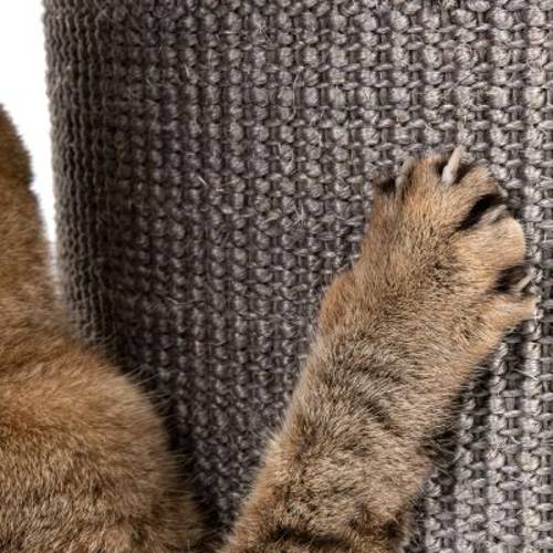 Diogenes L wieża dla kota Szary