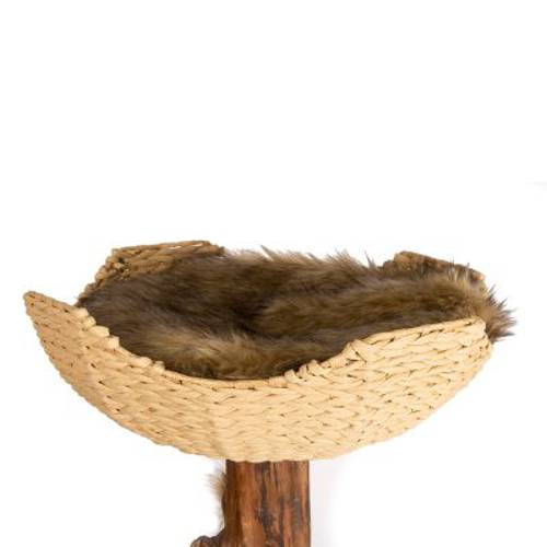 Karlie Nala drapak dla kota Brązowy