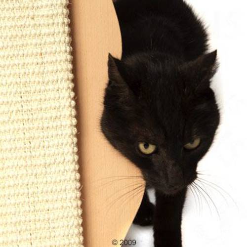 Trixie ,,Pan Kot" drapaczka dla kota 1 szt.