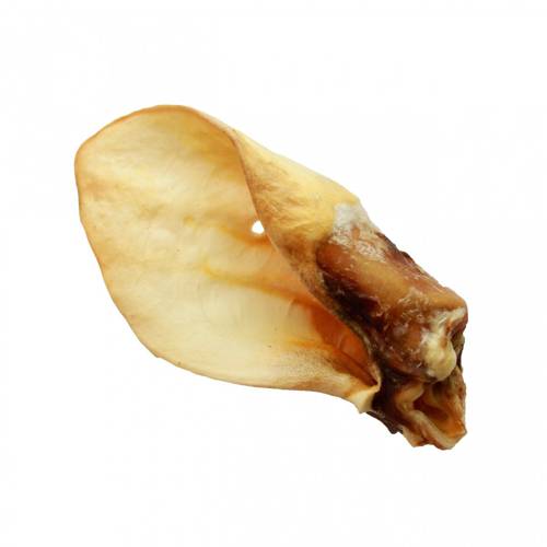 Ucho wołowe XL MIODOWE- 1 szt.