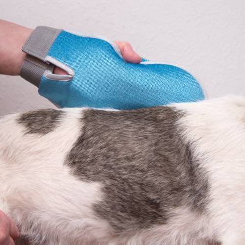 Dwustronna rękawica do pielęgnacji sierści 1 szt.