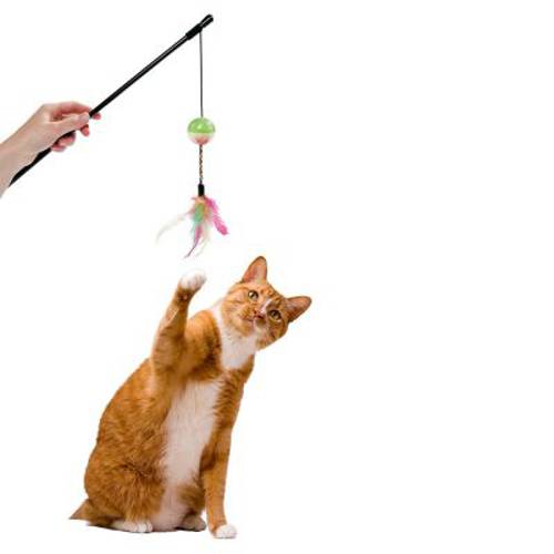 Karlie Wędka dla kota Day and Night 1 szt.