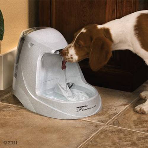 PetSafe® Drinkwell® Platinum poidełko fontanna Filtr zapasowy, 3 szt.