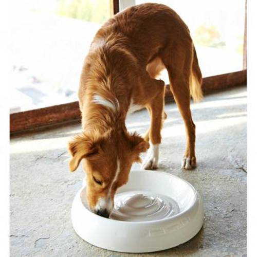 Lucky-Kitty miska ceramiczna 300 ml, Ø 18 cm