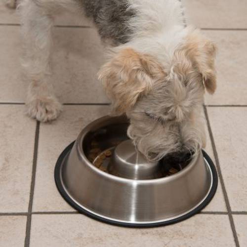 Spowalniająca jedzenie miska ze stali nierdzewnej 530 ml, Ø 22,5 cm