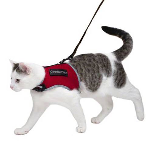 Szelki dla kota Trixie XCat z naklejkami i smyczą Czerwone