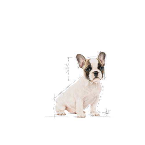 Royal Canin French Bulldog Puppy 3kg