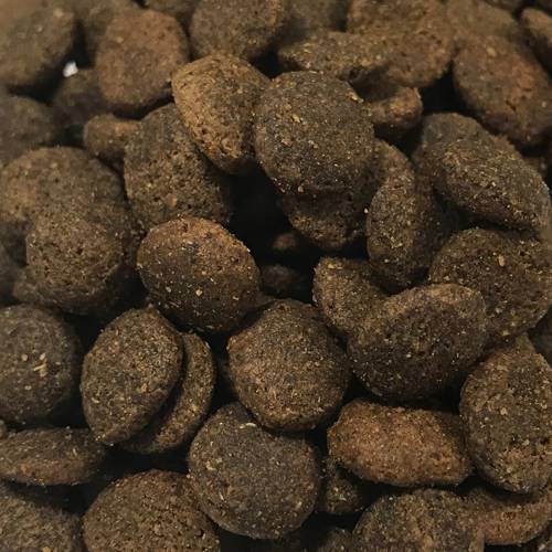 Karma sucha dla psa - Indyk z batatami i żurawiną 2kg