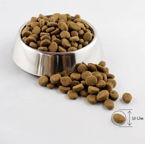 Orijen Fit & Trim Dog 11,4kg