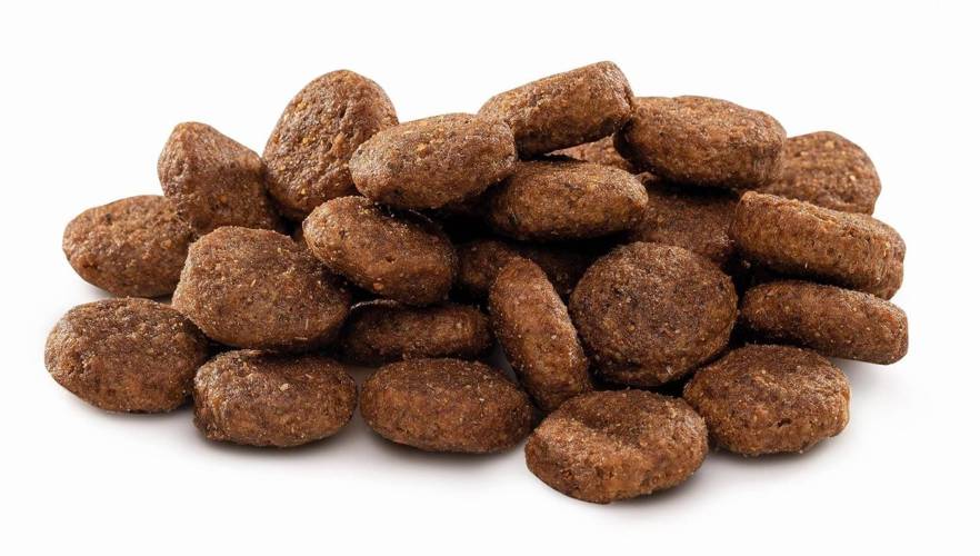 Brit Premium by Nature Junior L 3kg