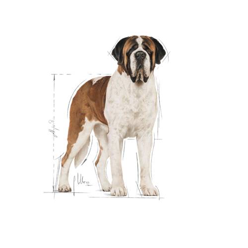 Royal Canin Giant Adult 15kg