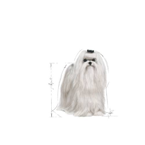 Royal Canin Maltese Adult 1,5kg