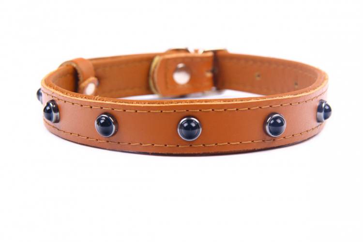 Obroża skóra Premium Kryształ - Brąz-Brąz 1321 24MM 44CM 33-41CM