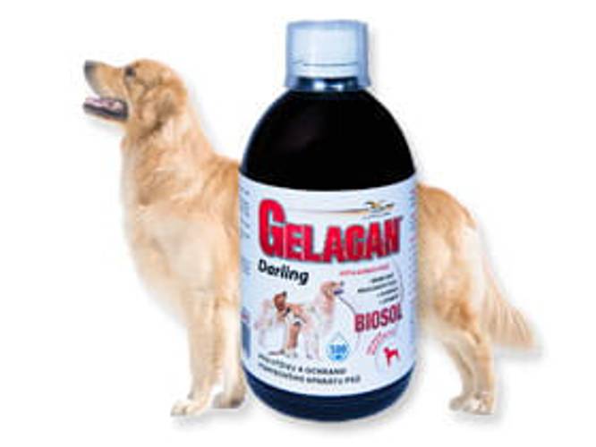 GELACAN® Darling Biosol 500 ml