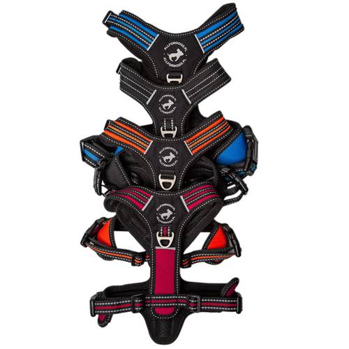 Sportowe Szelki Dla Psów 3X - Allfordogs