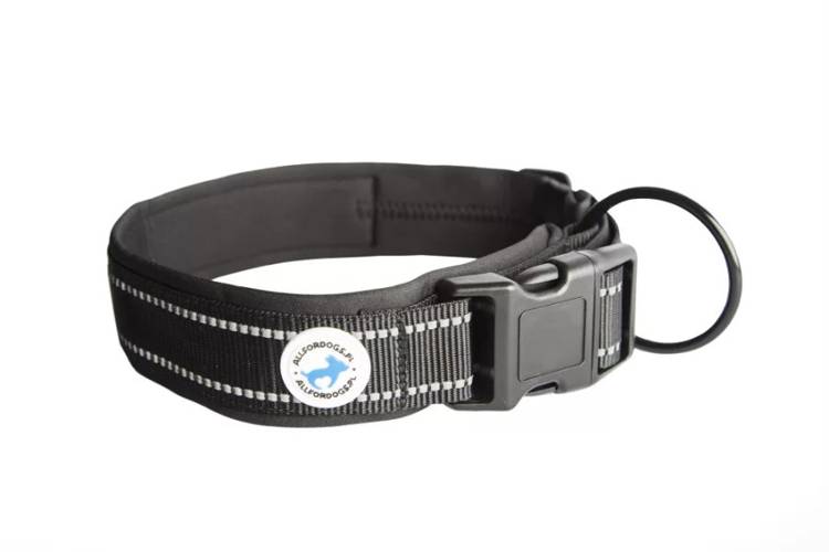 Obroża Dla Psa Black - Allfordogs