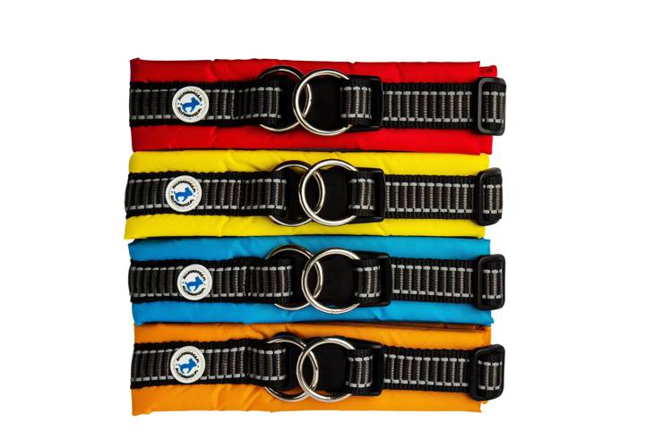 Klasyczna Obroża Regulowana Dla Psów - Allfordogs