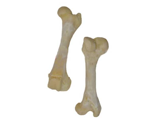 VECTOR-FOOD KOŚĆ WIEPRZOWA BIAŁA 10 szt.