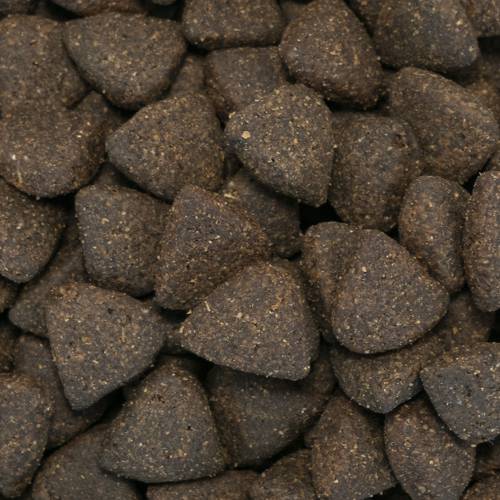 Karma sucha dla psa Light - Szkocki łosoś z koprem, szpinakiem, fenkułem, szparagami i pomidorem 2kg