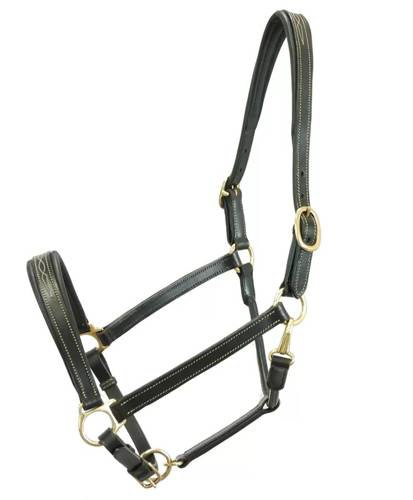 Kantar skórzany Canter Club