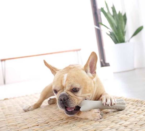 Petstages Deerhorn Large