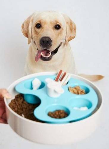 Pet Dream House Spin Palette Blue Medium miska interaktywna