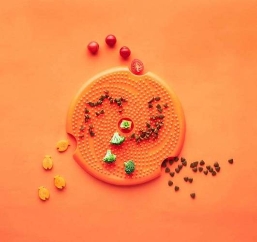 Pet Dream House Spin Lick Frisbbe Blue Medium mata do lizania