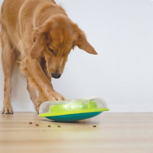 Outward Hound Gra Logiczna dla Psa Wobble Bowl
