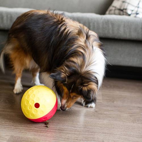 Outward Hound Gra Logiczna dla Psa Treat Tumble S