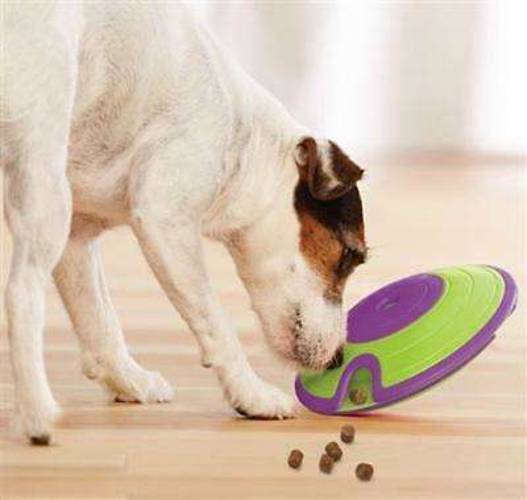 Outward Hound Gra Logiczna dla Psa Treat Maze Green