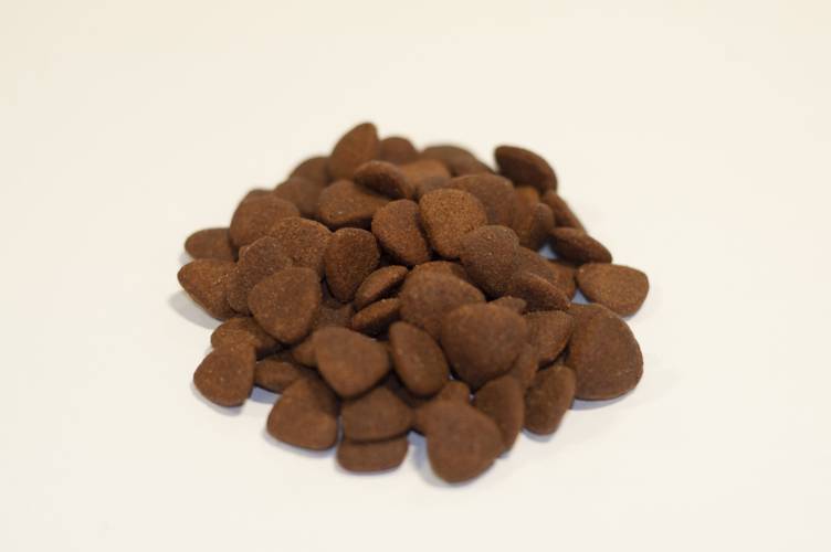 Karma sucha dla psa - Angielska kaczka z pasternakiem, burakiem, pomarańczą, szparagami i dynią 2kg