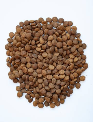 Karma sucha dla kota - Indyk i kurczak 5kg