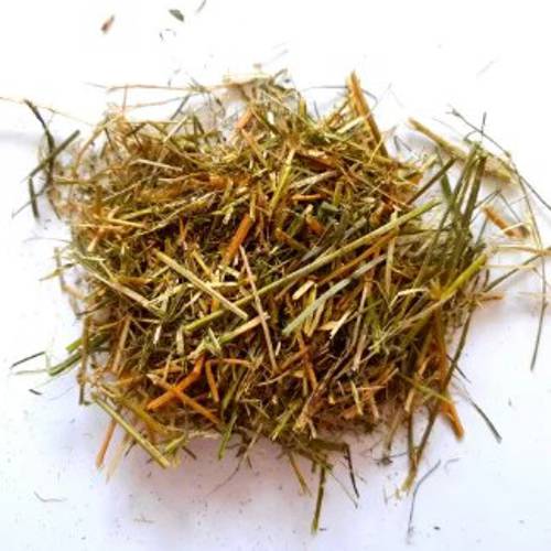 Sieczka z lucerny dla koni 10kg – olejowana czysta lucerna - Equestria Feeds