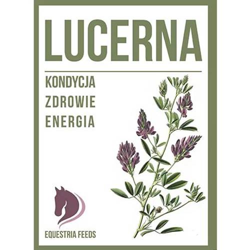 Lucerna 20kg - granulat dla koni z całej rośliny, źródło aminokwasów - Equestria Feeds