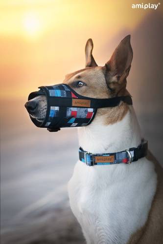 amiplay Obroża regulowana Adventure S Moro