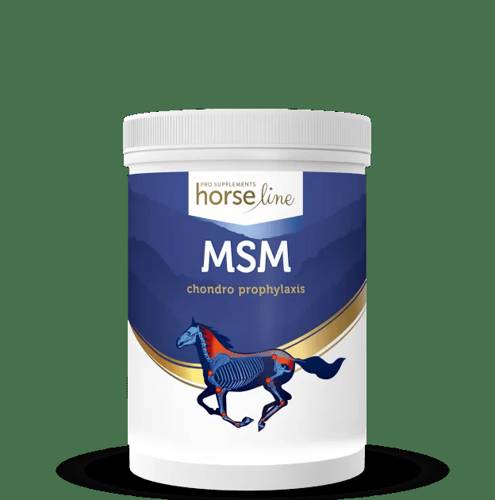 Suplement HorseLinePRO MSM