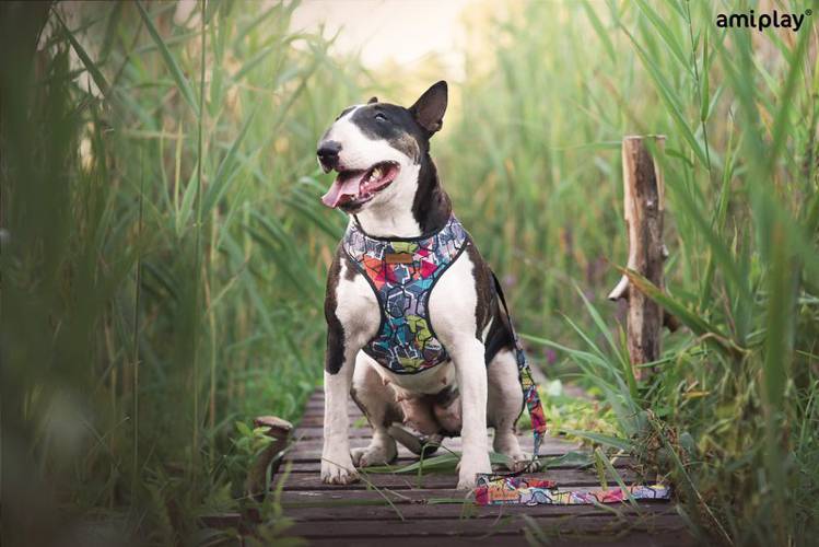 amiplay Smycz Adventure S Moro