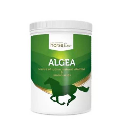 Suplement HorseLinePRO Algea