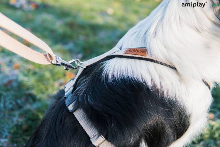 amiplay Szelki regulowane Grand Soft Cotton XL Czarny