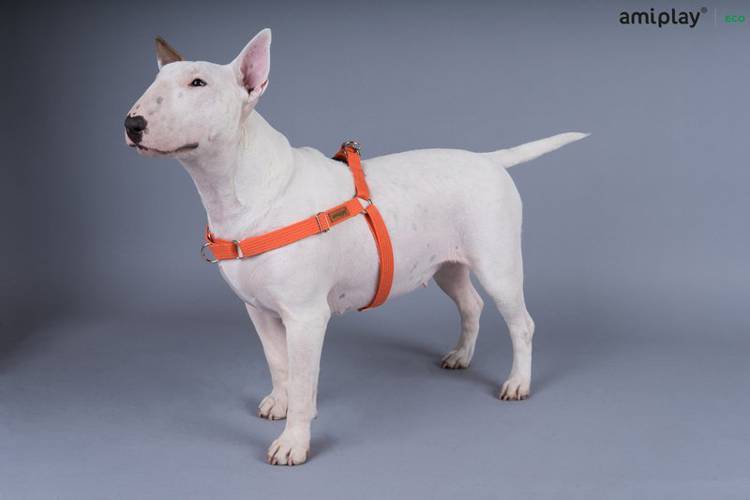 amiplay Szelki regulowane EASY GO Cotton L Brązowy