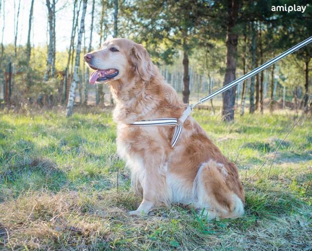 amiplay Szelki regulowane Cotton Shine S Czarny