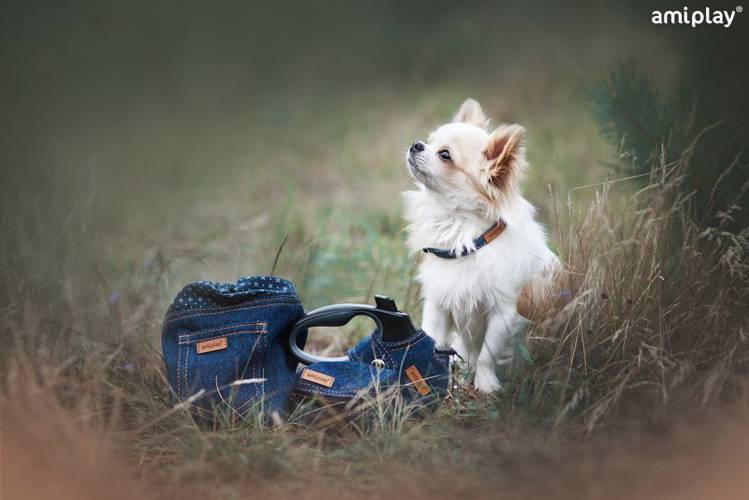 amiplay Torebka na worki do odchodów Denim Niebieski